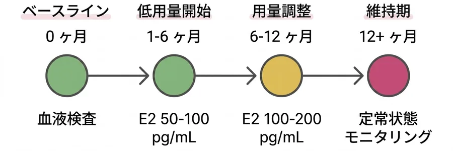 HRT経路タイムライン：ベースライン→低用量(1-6ヶ月)→用量調整(6-12ヶ月)→維持期(12ヶ月+)
