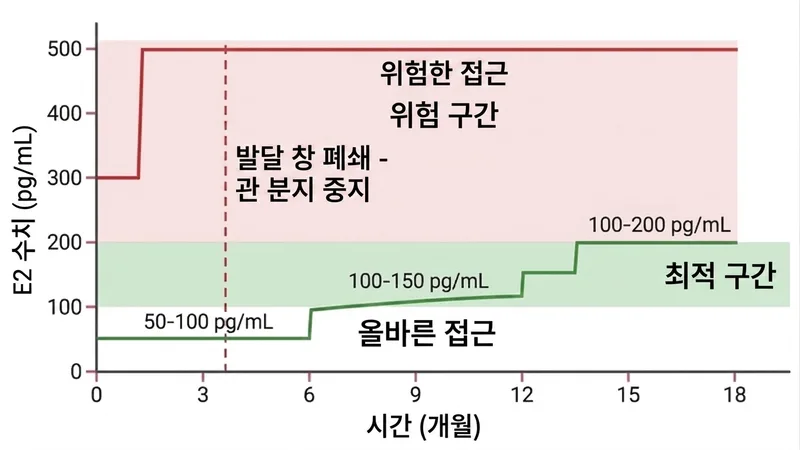 E2 수치 비교: 올바른 단계적 접근 vs 발달 창을 닫는 위험한 고용량