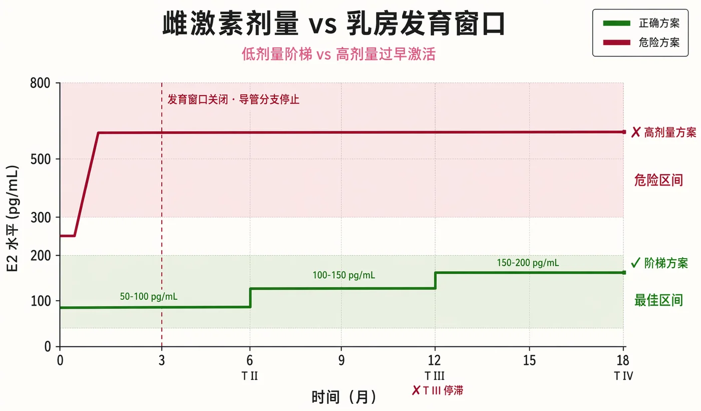 雌激素剂量 vs 乳房发育窗口：绿色阶梯方案在 0-18 个月渐进从 50-100 到 150-200 pg/mL，红色危险方案在第 1 个月即跳到 550 pg/mL 导致第 3 个月发育窗口关闭、导管分支停止