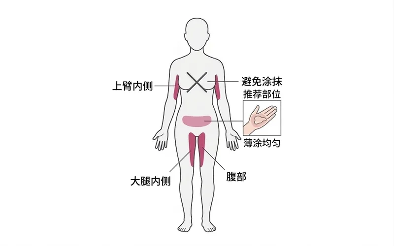 凝胶涂抹部位示意图：推荐上臂内侧、大腿内侧、腹部，避免涂抹乳房区域